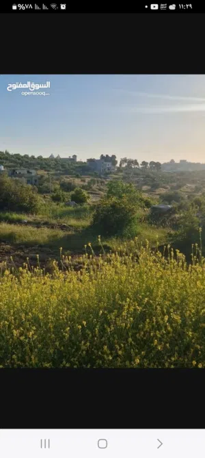 ارض للبيع صالحه للبيناء في دير ابزيع يو جد 2دونم سعر الدونم  90الف دينار