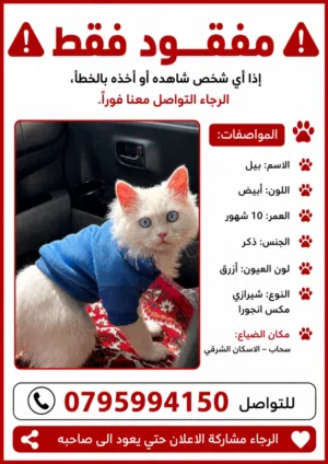 مفقود في سحاب