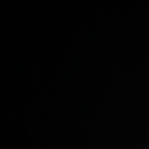 تقوى نوح ابو سنينة 