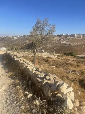 ‏سكنية ‏.‏ 874 م٢ ‏.‏ المالك‏4