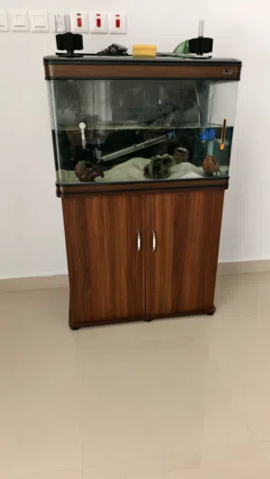حوض اسماك للبيع