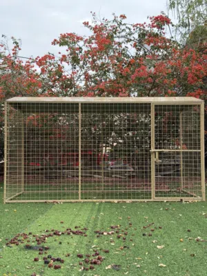 قفص كلاب home dog