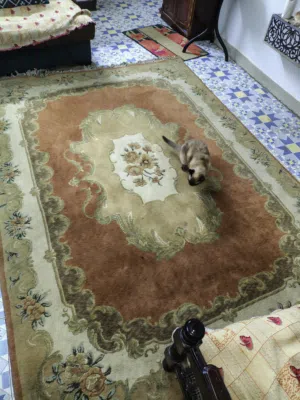 سجاده النساجون الشرقيون بحاله جيده