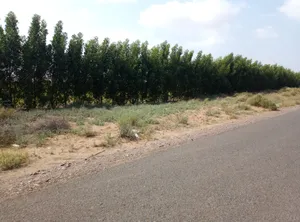 Farm . 800000 m2 . Landlord0