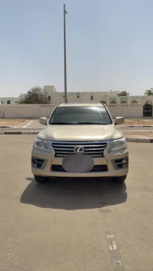 استيشن لكسز