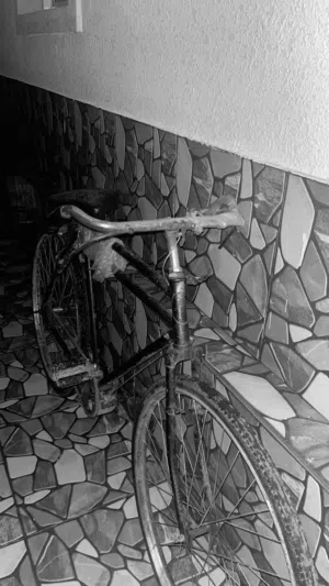 سيكل بو  بالون