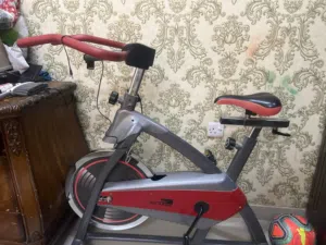 Exercise cycle