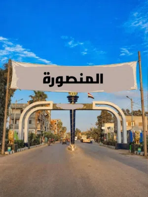 شقة للإيجار إدارى فى ميت حدر