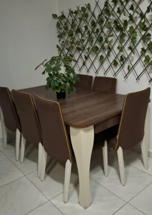 طاوله طعام 6 كراسي dining table 6 chairs