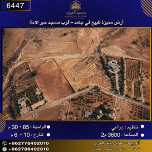 Farm Land for Sale in Salt Jala'd
