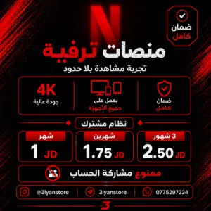 Netflix Accounts and Characters for Sale in Amman
