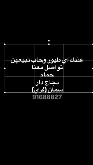 مطلوب حمام بسعر الجملة اي عدد اشتريهن