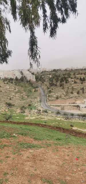 بلاستيشن ps3 للبيع