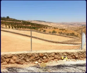 Farm Land for Sale in Zarqa Al-Alouk