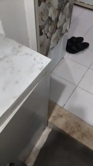 مطلوب فرد مشاركه سكن