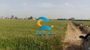 Farm Land for Sale in Beheira Delengat