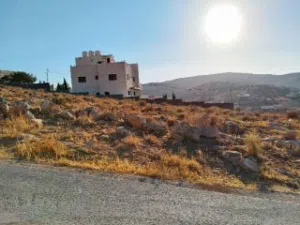 Residential Land for Sale in Zarqa Birayn