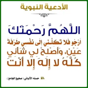 نص هكتار للبيع