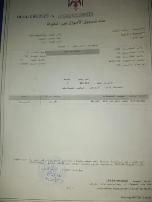 Residential Land for Sale in Aqaba Al-Shamiyah