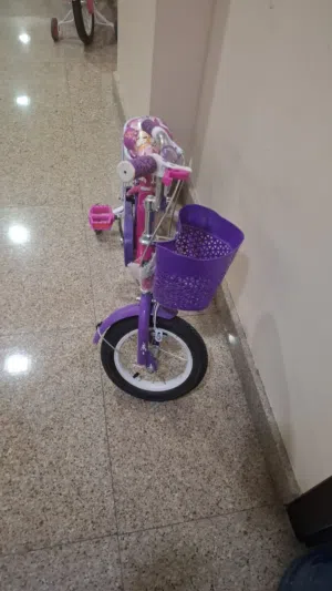 Kids Bicycle with Basket – Pink & Purple – Good Condition