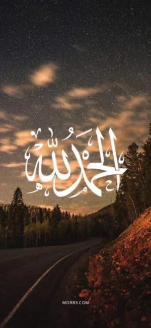 ابحث عن غرفه او استديو عزابي