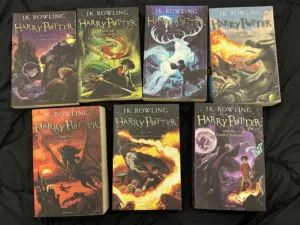 harry potter series