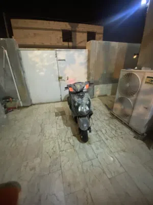 دراجه سكنس فحل للبيع أو مراوس دراجه سعره 650 بيه مجال