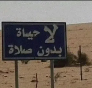 محمد 