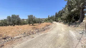 Residential Land for Sale in Ajloun A'anjara