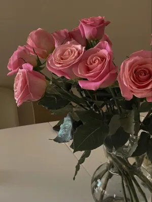 شهله هاني حامد معالي 