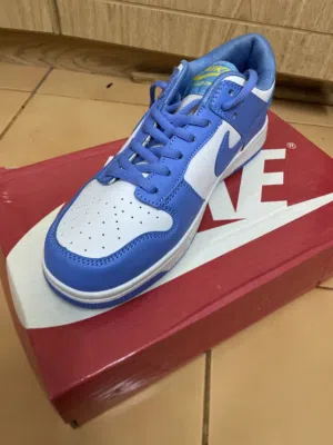 Nike Dunk Low ‘Coast white and blue