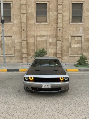 جالنجر بسعر مناسب