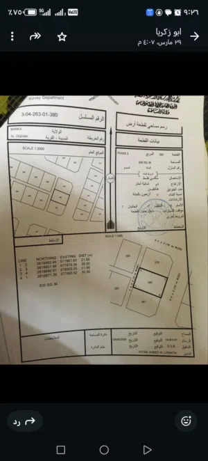 أرضين شبك في العقد الثالثة