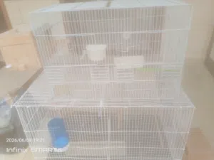 أقفاص عصافير مستخدمه لاكن بصحه جيده للبيع