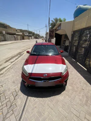 فورتي موديل 2020