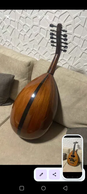 عود اصلي للبيع