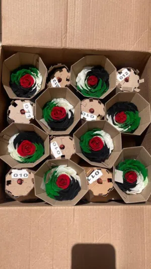 مشروع الورد المحفوظ للبيع Infinity Flower Project for sale