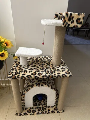 Accessories . Cats0