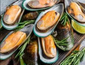 حبار روبيان أخطبوط شارخه صفيلح قبقوب دشن قاشع محار كلماري