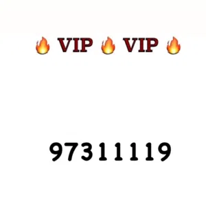 رباعي مميز مصنف من الأرقام VIP