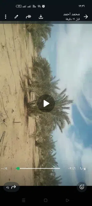 15 فدان نخيل