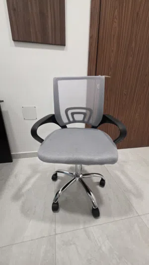 Office Mesh Chair — Needs Repair — Cheap / Pick-Up