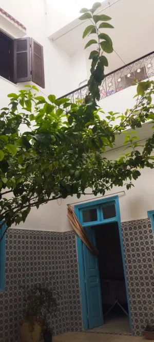 125 m2 5 Bedrooms Townhouse for Sale in Tunis Other