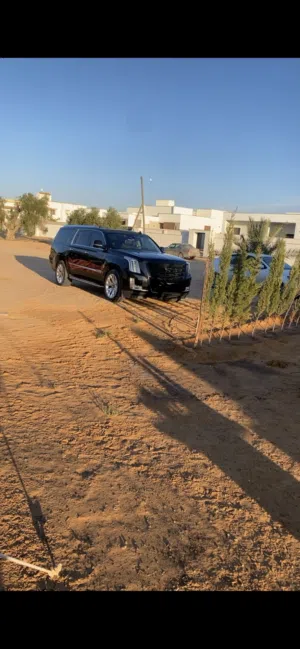 كادلك اسكاليد 2017