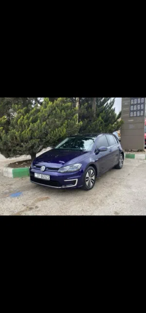 E golf 2019