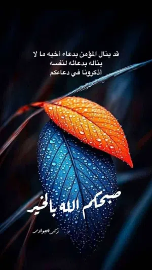 مطلوب شخص للسكن