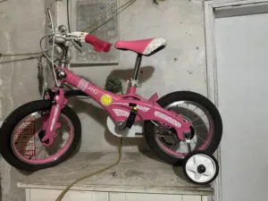 Brand new by cycle not used even a single day