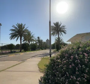 سامق 