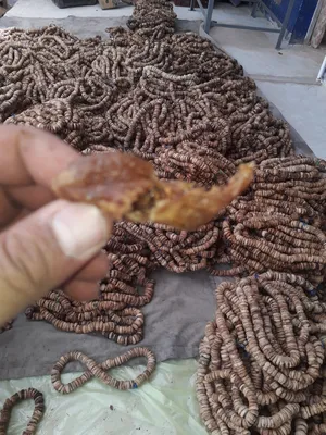 Dates0