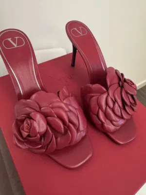 With Heels . Valentino . 39 . Used1